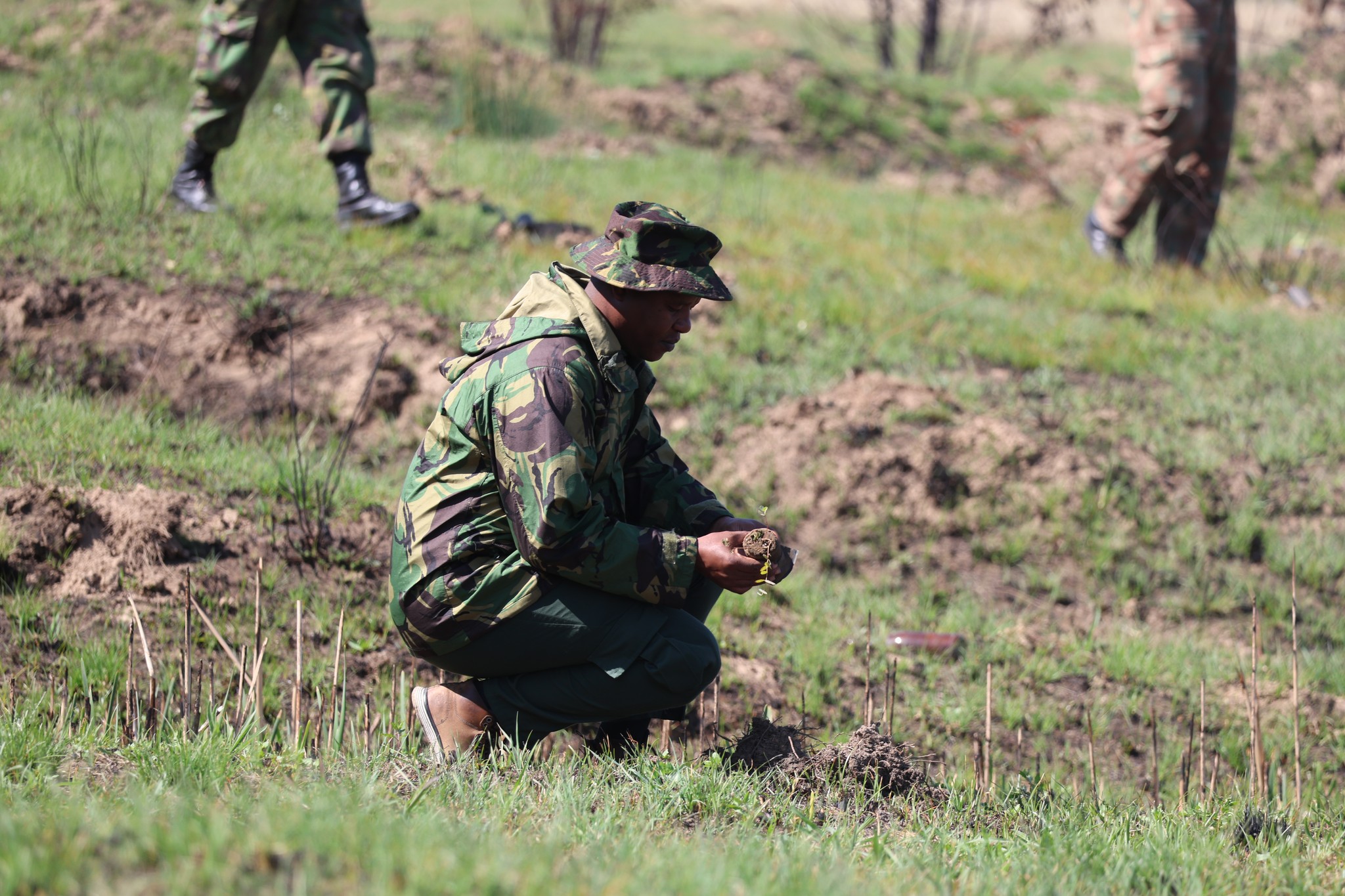 RSL, LDF plants 10 000 trees at Makoanyane Barracks